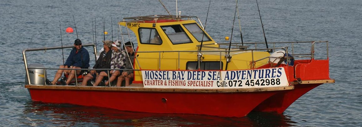 catamaran mossel bay