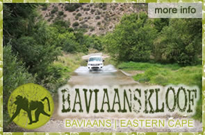 Baviaans Tourism Office: Baviaans Kloof Tourism Office