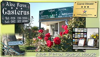 Aloe Ferox Guest House: Albertinia Accommodation