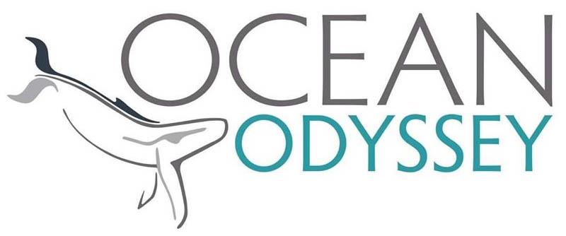 Ocean Odyssey Knysna Car/Scooter Hire Sports & Leisure Activities