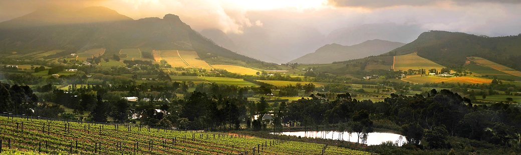 Visitors to the Western Cape are increasingly interested in exploring the wealth of eco-tourism activities on offer