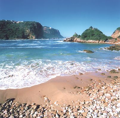 Knysna's famous Featherbed Reserve